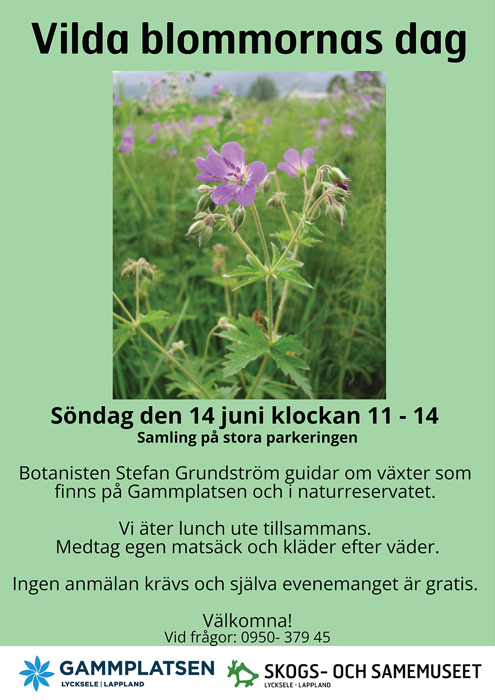 "De vilda blommornas dag" med botanisten Stefan Grundström!