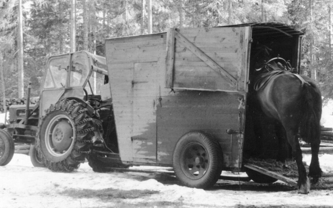 Framsteg och försök i skog